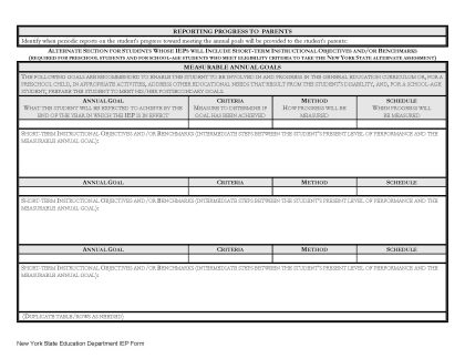 NYC_IEP_Template_Page_07